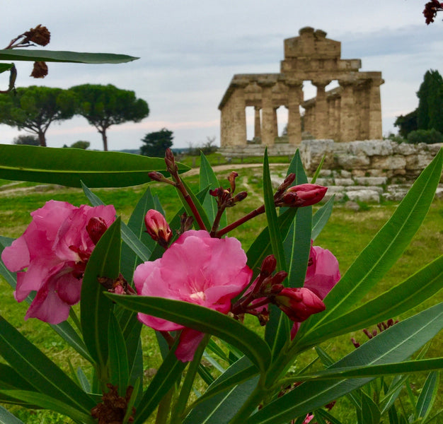 Benedicaria: The Blessing Way of Southern Italian Folk Medicine