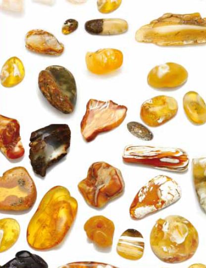 Natural Baltic Amber – Magnetic, Adaptogenic, Universally Applicable