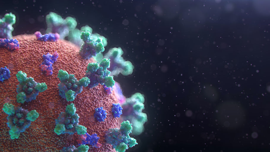 The Pesky Enigmatic Coronavirus; Preventive Care