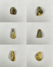 Rare Green Baltic Amber Amulets