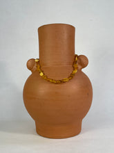 Multi Color Raw Baltic Amber Necklace